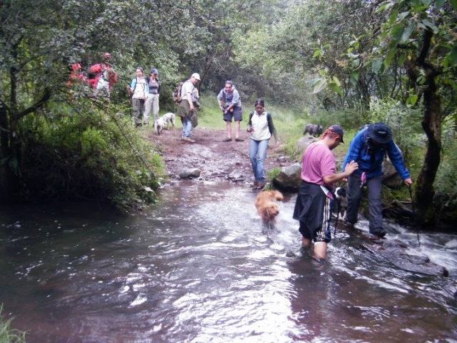 cruzando el río